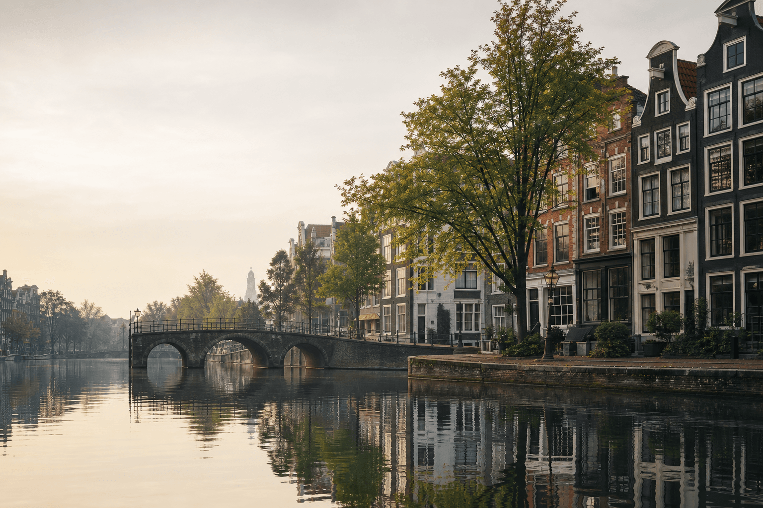 Editorial Amsterdam trees and water