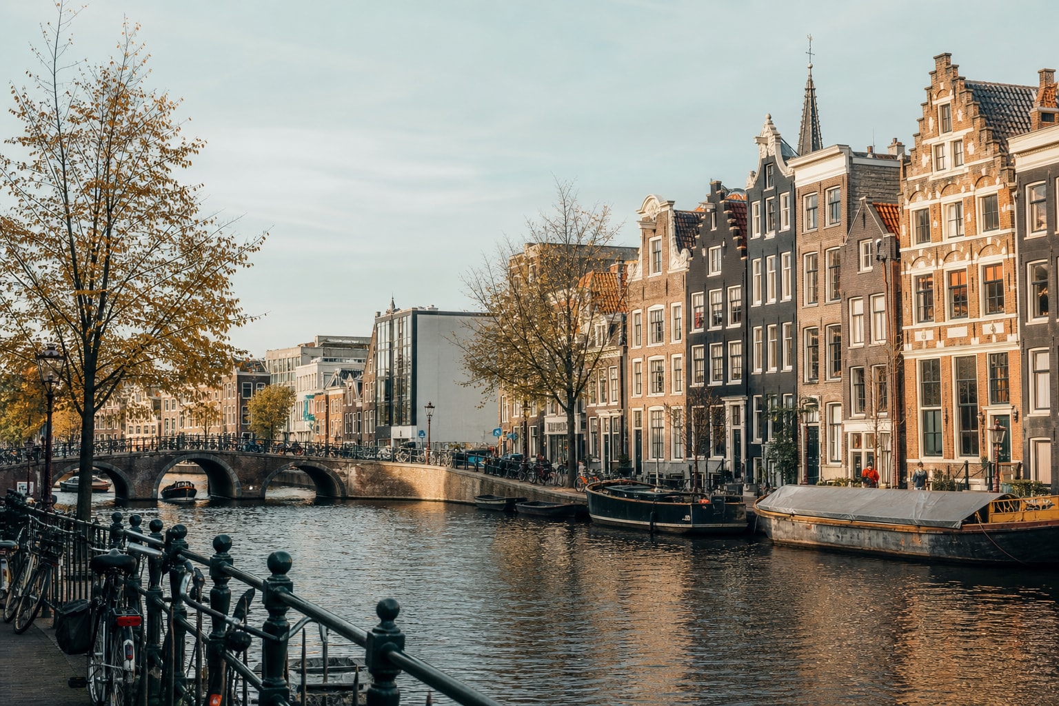 From Festivals to Immersive Art at Amaze Amsterdam